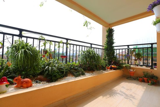 碧桂园天玺湾理想家计划:打造绿色生态的健康