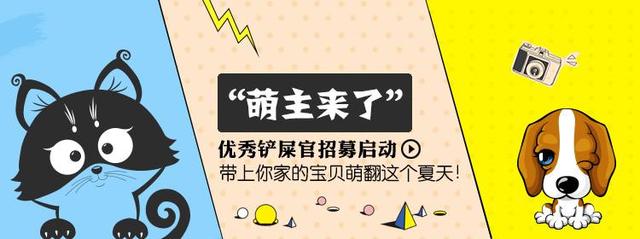 活动"萌主来了"优秀铲屎官招募启动,带上你家的宝贝萌动这个夏天!