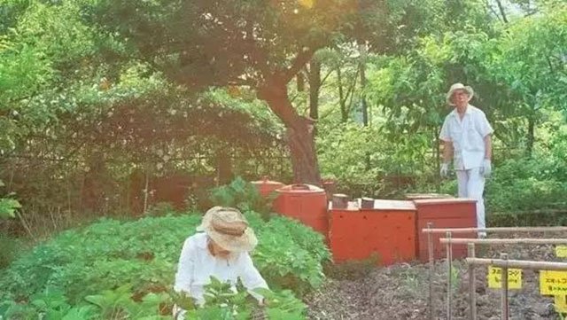 抱著硅膠娃娃回家的日本人在想什麼？