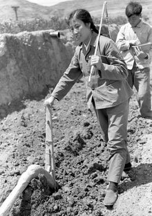 中國農業奇迹「大寨」的幾次沉浮