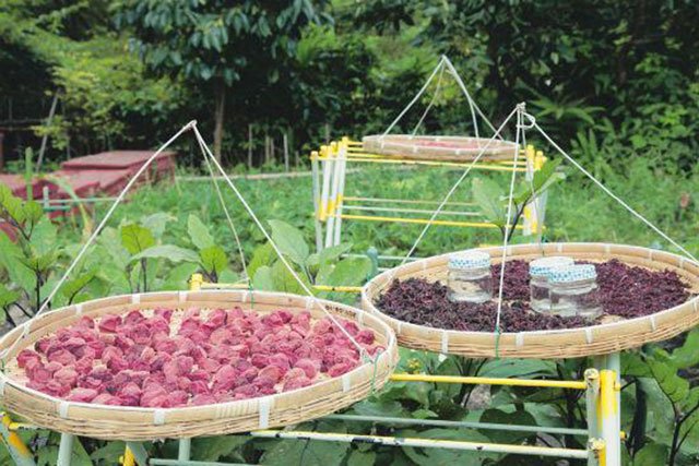 抱著硅膠娃娃回家的日本人在想什麼？