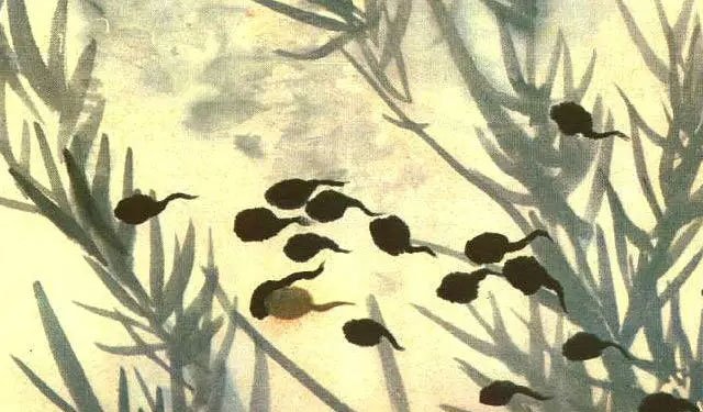 60年代水墨动画经典之作《小蝌蚪找妈妈》