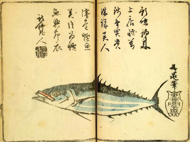 三個字看懂和食