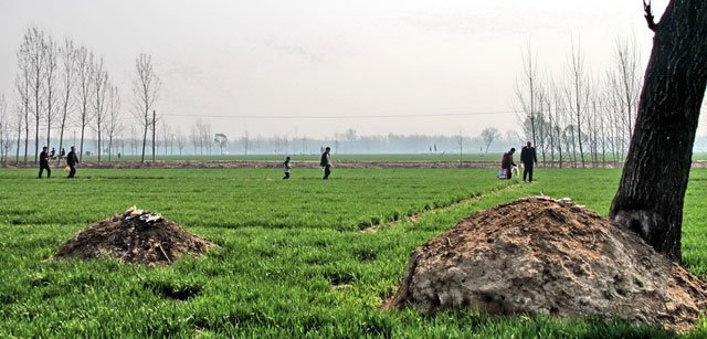 最後的鄉土，最後的生老病死