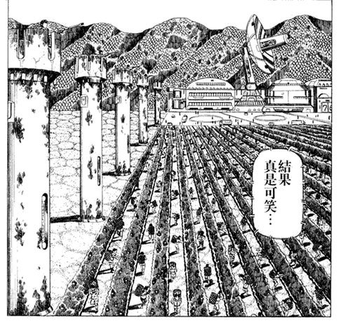 监狱化管理的绿洲农场,哨塔上配备了重型武器 监狱化管理的绿洲农场,哨塔上配备了重型武器