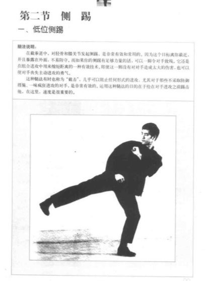 詠春丁浩敗給徐曉東冤枉嗎？