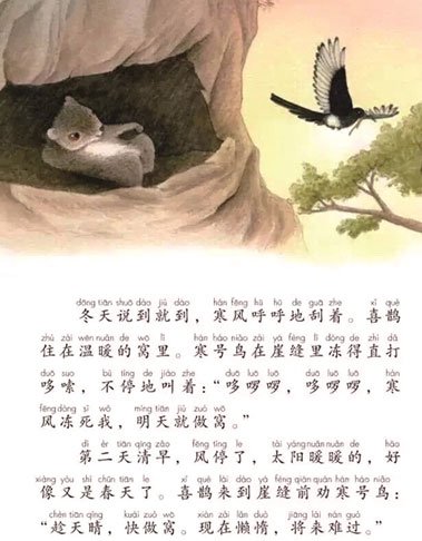 2017年人教版的小学课本,寒号鸟是“复齿鼯鼠”形象 2017年人教版的小学课本,寒号鸟是“复齿鼯鼠”形象