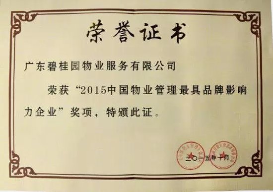 8916177.jpg