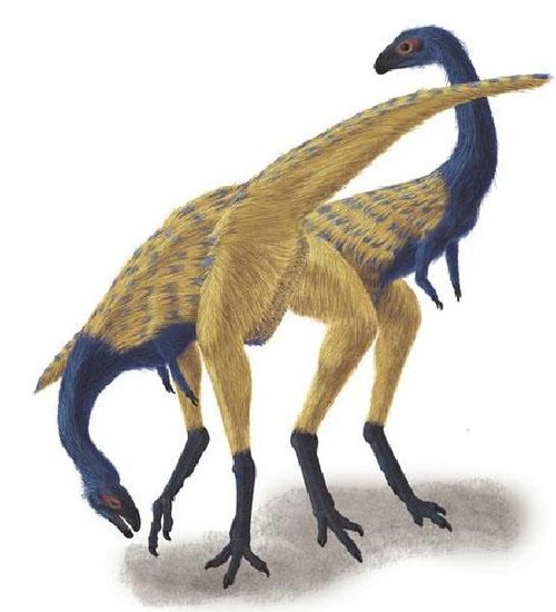 克龙弗兰德犬-2009年古生物学家在中国西北富含恐龙化石的地层中又有新发现.中国高清图片