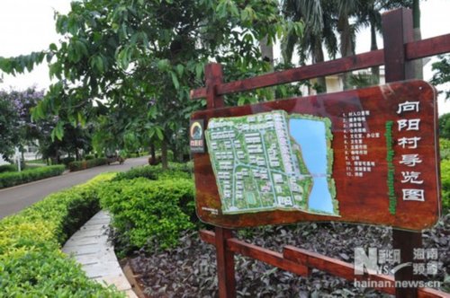 向阳村街道_向阳村2018年的人均(2)