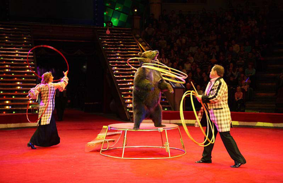 国庆孩子去哪?亚洲大马戏天团空降青岛!_频道