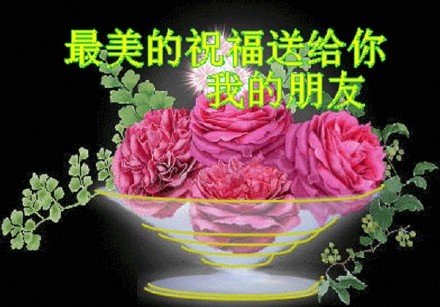 腾讯动态表情,你拥有值得我忙事去了不要太想我表情房产包图片