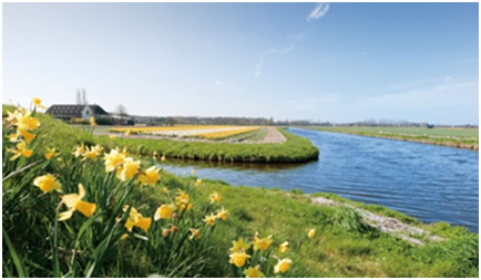 问鼎三冠 品质称王泰成•玲珑郡&中介经纪