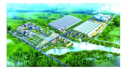 绿色硅谷科技园等十个现代农业项目落户西海岸