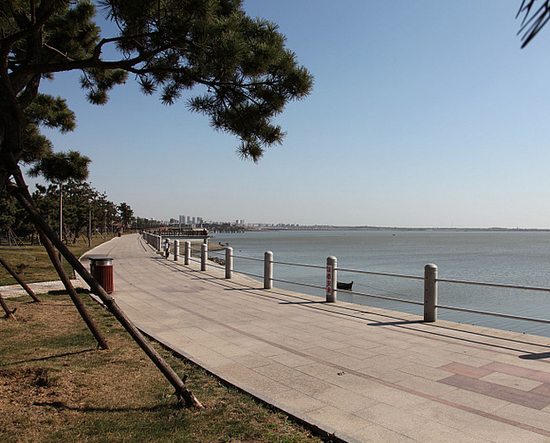 专题 海外 微信 房地产新闻  唐岛湾湿地公园走俏 风光旖旎 青岛向来