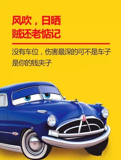 7913774.jpg