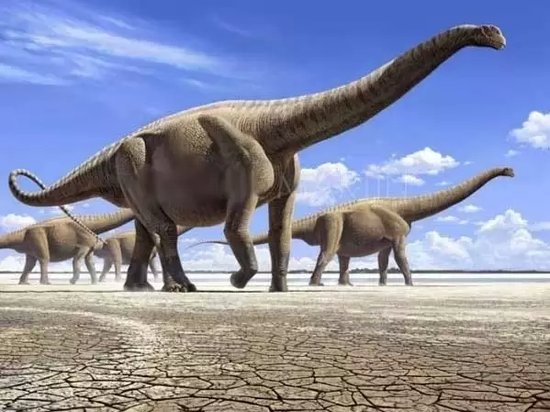 【约!】防城港史上规模最大的恐龙展 等了你两