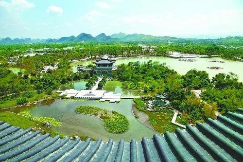 防城港金花茶大道出大事了 TA们一个都脱不了