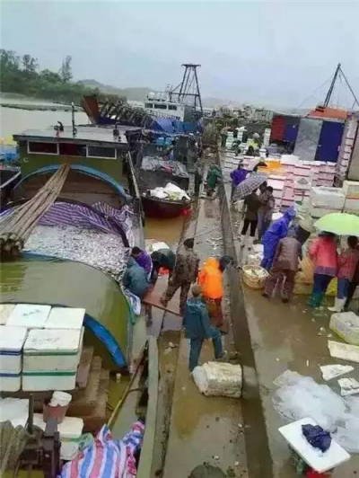 钦州湾金鲳鱼灭门惨案对后市的18个影响