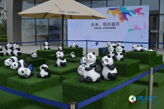 从香港到港城,熊猫艺术展登陆海碧台--嘉里海碧