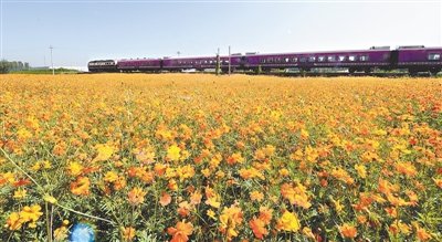 沿途美景美哭了 秦皇岛山海旅游观光铁路开通