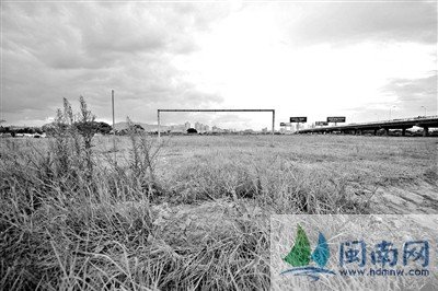 十年风雨 江滨公园风景几何?