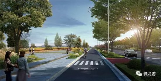 龙游金星大道将进行景观改造 _房产衢州站