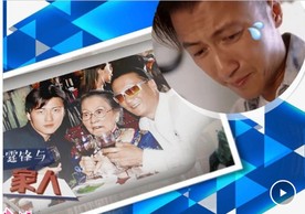 皇家堵场网站