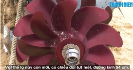 旧版森林舞会