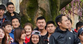 易胜搏哪个是官方的