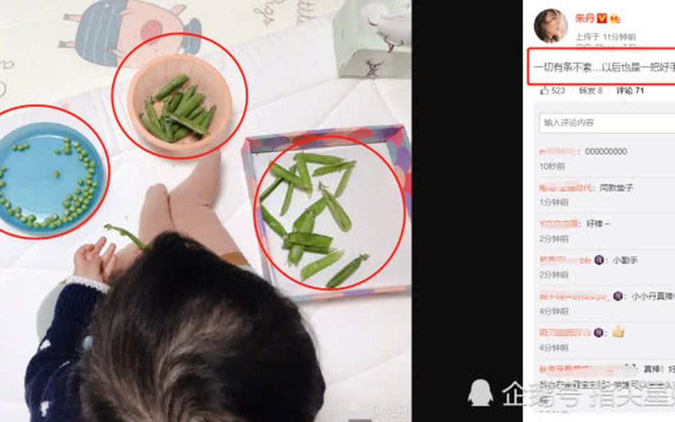 贝博体育app下载