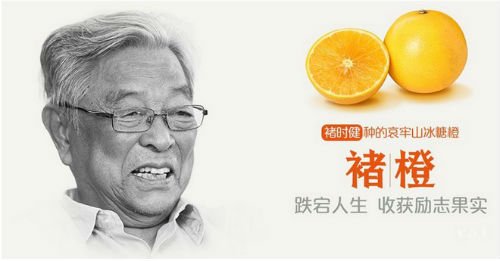 2016中国最励志橙子来袭,只送不卖