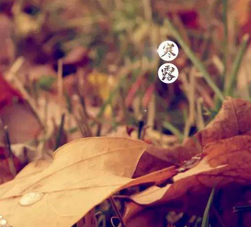 古诗里的寒露节气