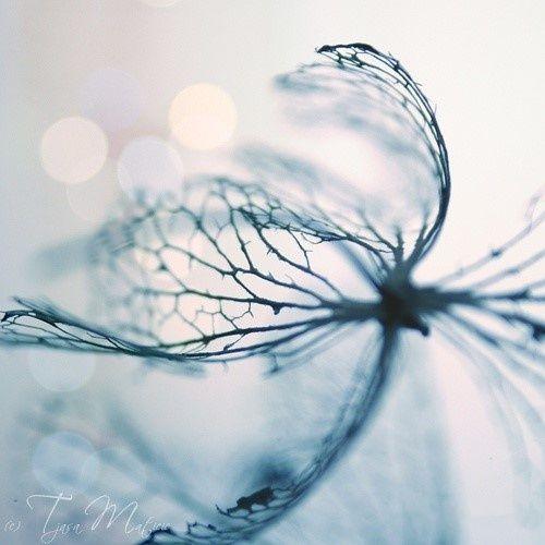 《智海浪花》还生命以本来面目