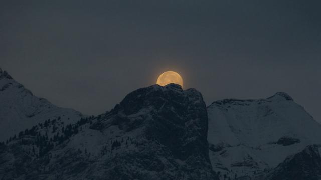 元宵和它的月亮:迎月 赏月 品"月"
