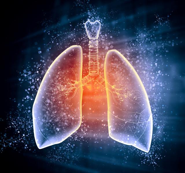 五臟之“華蓋” 應四時之秋：肺的生理特性