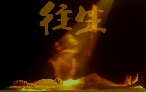 往生极乐世界后恶业去哪儿了?