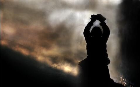 来时路--到底为什么学佛