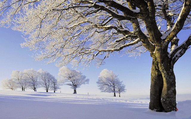 曾国藩的为学之道:学问和事业是一回事