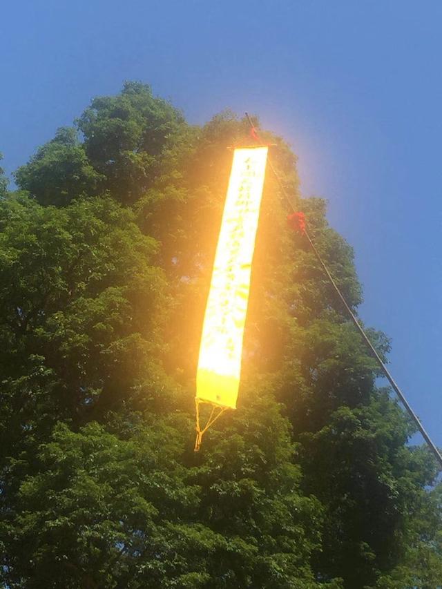 灵幡结就万神降,金光毕现大吉祥
