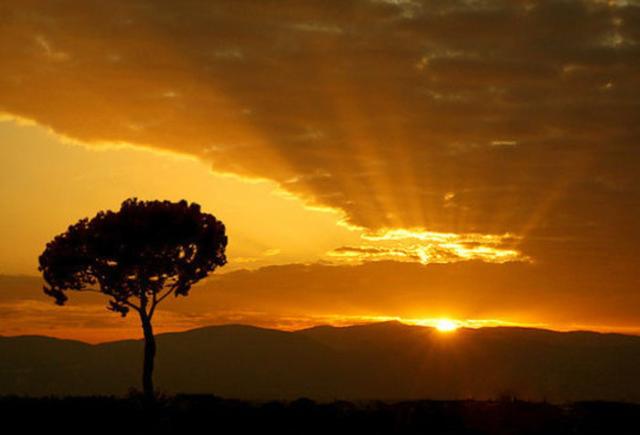 【法眼看世间】宗教与文化战略关系的思考_儒佛道频道_腾讯网