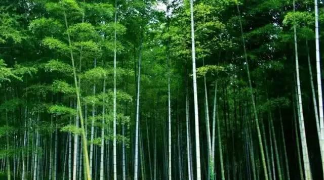 6个字,让一个家族出了36个皇后驸马、35个宰相_儒佛道频道_腾讯网