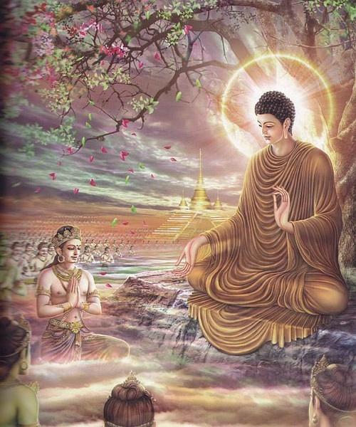 佛陀只用二十个字 道破三世因果真谛
