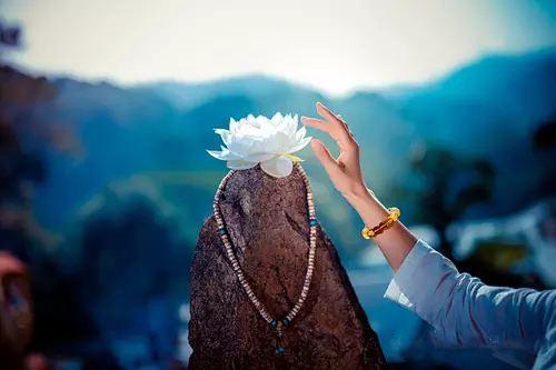 学佛困难在什么地方呢?就是善护念_舍卫大城