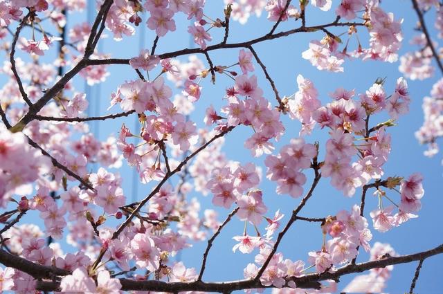 人生中最难熬的不是严冬 而是倒春寒