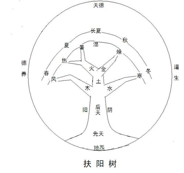 宇宙之根 先天甘露:先天一炁正论