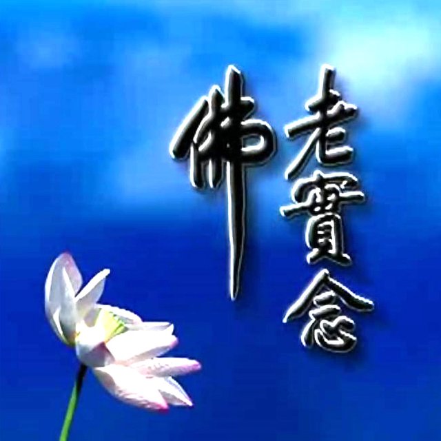 大愿法师:念佛能断贪婪愤怒