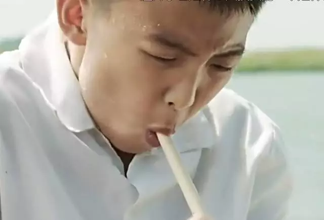 道由心学 心假香传--谁懂《百鸟朝凤》其中味?