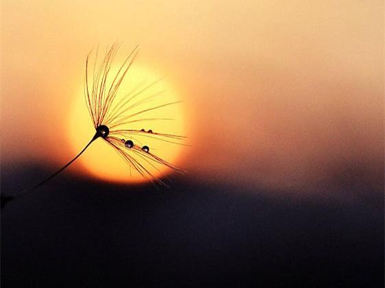 自助者 有天助;越努力 越幸运