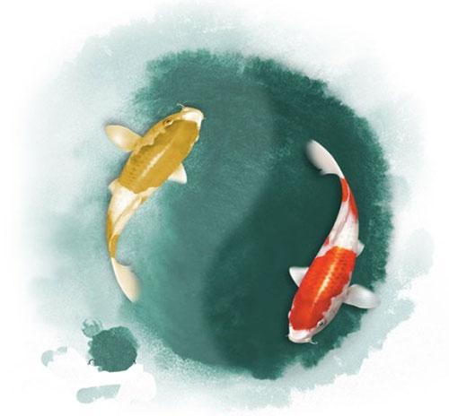 学习中医为什么必须了解阴阳之道?